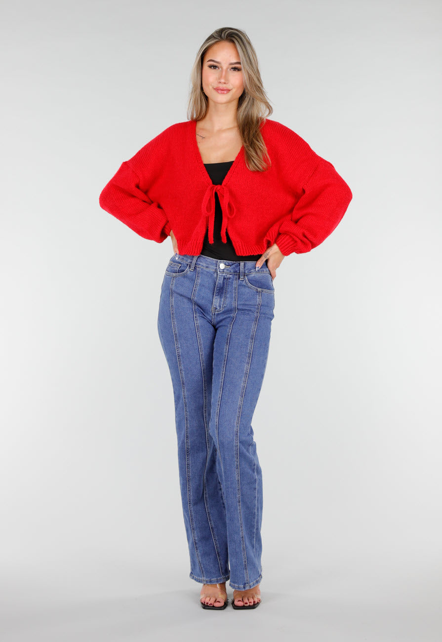 Redial Jeans  Blauwe Stretch Jeans met Rechte Pijpen en Verticale Stiknaden