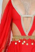 Rood Buikdanseres Kostuum met Gouden Accenten en Doorzichtige Rok
