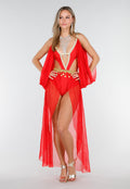 Rood Buikdanseres Kostuum met Gouden Accenten en Doorzichtige Rok