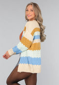 Gebreid Multicolor Cardigan Vest